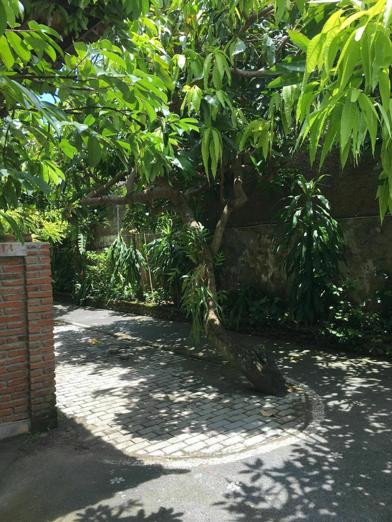 Cafe Wayan & Cottages マンシット エクステリア 写真